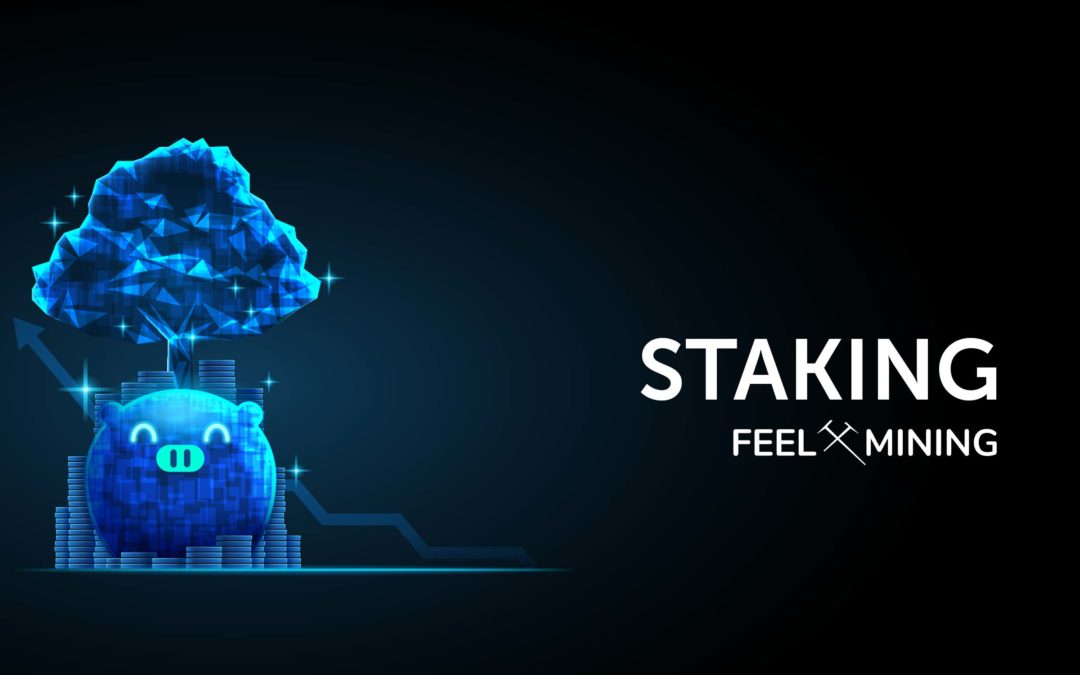 header-staking-article