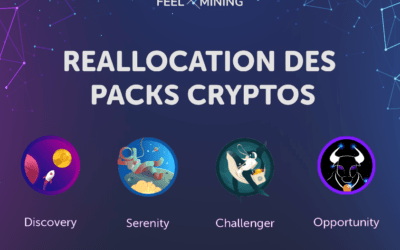 4 packs d’investissement inédits chez Feel Mining