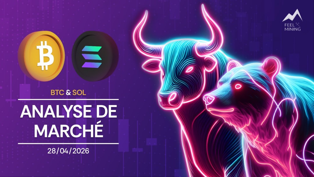 BTC et SOL : Les deux piliers à surveiller impérativement sur les marchés